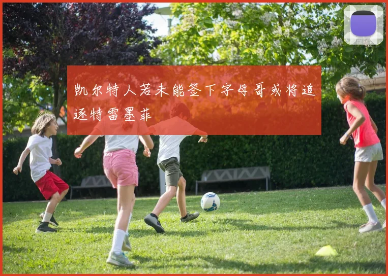 凯尔特人若未能签下字母哥或将追逐特雷墨菲