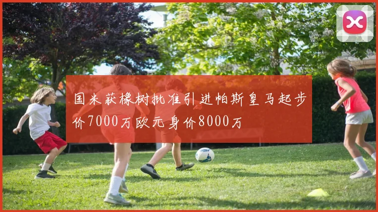 国米获橡树批准引进帕斯皇马起步价7000万欧元身价8000万